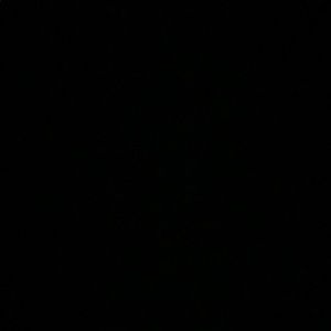 Meet your Posher, Jackson